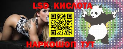 СК Гусиноозёрск