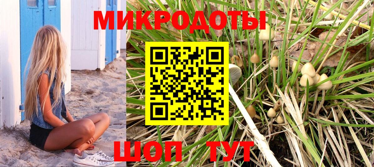 Псилоцибиновые грибы мицелий Мирный