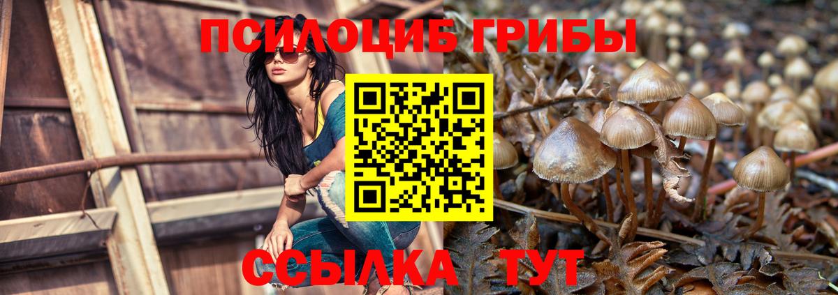 Мирный  Псилоцибиновые грибы Magic Shrooms  Вход с VPN 